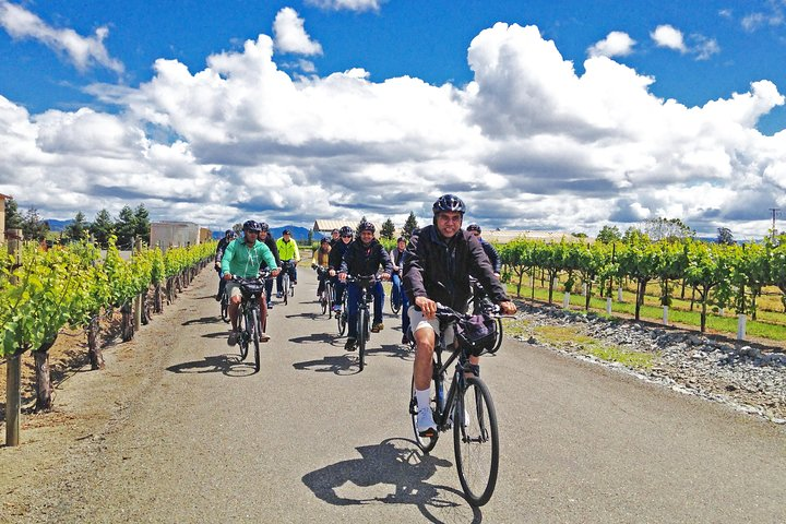 Biking through beautiful Vineyards!